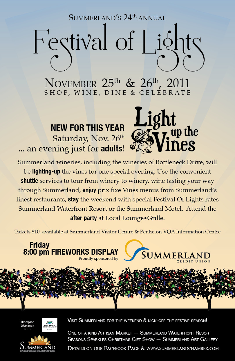 Festival Of Lights Poster